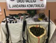 Korgan’da esrar operasyonu