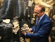 Vali Yavuz, İstiridye Mantarı Tesisinde İncelemede Bulundu