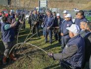 Vali Yavuz, Fındıkta Verimliliği ve Kaliteyi Artırmaya Yönelik Proje Çalışmalarını Yerinde İnceledi