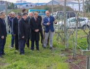 Vali Yavuz, Örnek Fındık Bahçesinde İncelemede Bulundu