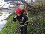 BİR CAN DAHA KURTARDILAR