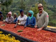 Malkins Coffee’den Kolombiya Kahve Belgeseli: Kolombiya’nın Yeşil Vadilerinden Türkiye’ye