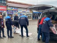 FATSA’DA MİDE BULANDIRAN MANZARA