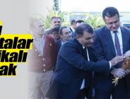 Bu yumurtalar sertifikalı olacak