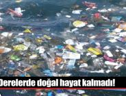 Derelerde doğal hayat kalmadı!