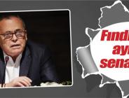 Fındık fiyatındaki sert düşüş