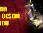 Ordu’da kadın ceseti bulundu