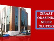 Ordu’da Ziraat odası maaşları ödemiyor mu?