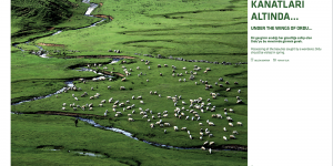 Anadolu Jet Magazin Dergisi, Ordu’yu Tanıttı