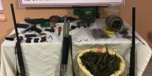 Ordu’da esrar operasyonu