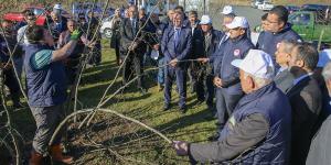 Vali Yavuz, Fındıkta Verimliliği ve Kaliteyi Artırmaya Yönelik Proje Çalışmalarını Yerinde İnceledi
