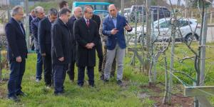 Vali Yavuz, Örnek Fındık Bahçesinde İncelemede Bulundu