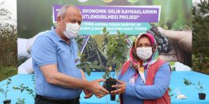ORDU’NUN YENİ GÖZDESİ MAVİ YEMİŞ