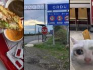 Ordu’da neden KFC Yok?