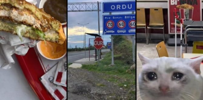 Ordu’da neden KFC Yok?
