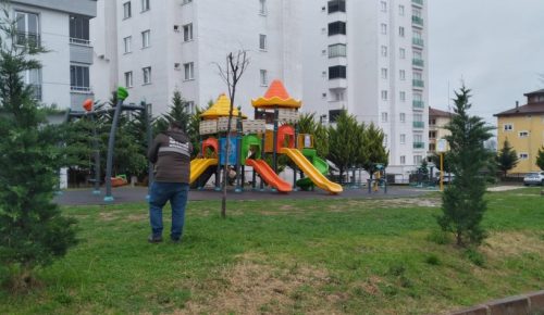 FATSA BELEDİYESİ YEŞİL ALANLARI BAHARA HAZIRLIYOR