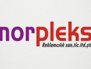 Mor Pleksi: 1990’dan Günümüze Pleksi Üretiminde Öncü Marka