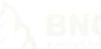 BNG Tech Soft Dondurma Makinesi