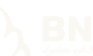 BNG Tech Soft Dondurma Makinesi