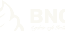 BNG Tech Soft Dondurma Makinesi