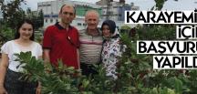 KARAYEMİŞ İÇİN BAŞVURU YAPILDI