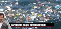 Derelerde doğal hayat kalmadı!