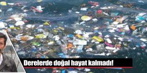 Derelerde doğal hayat kalmadı!