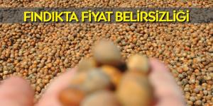 Fındıkta fiyat belirsizliği