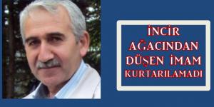 İncir ağacı sonu oldu